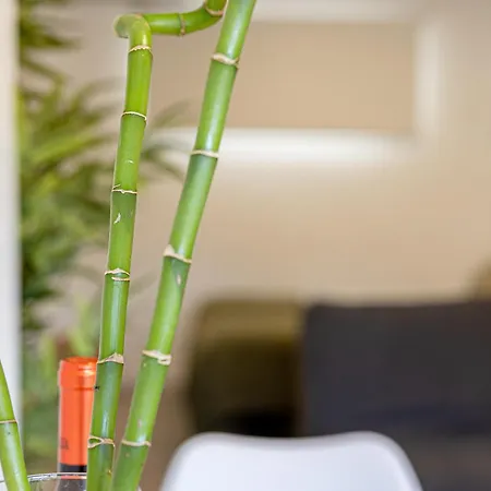Bambu Vegueta Alquiler Por Апартаменты