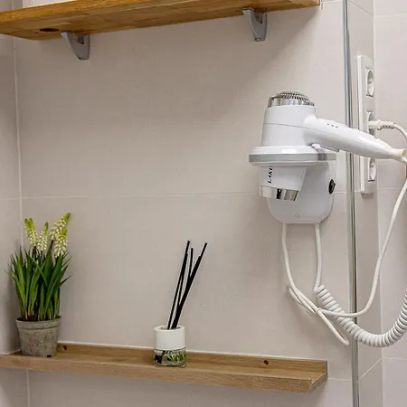 Bambu Vegueta Alquiler Por Las Palmas