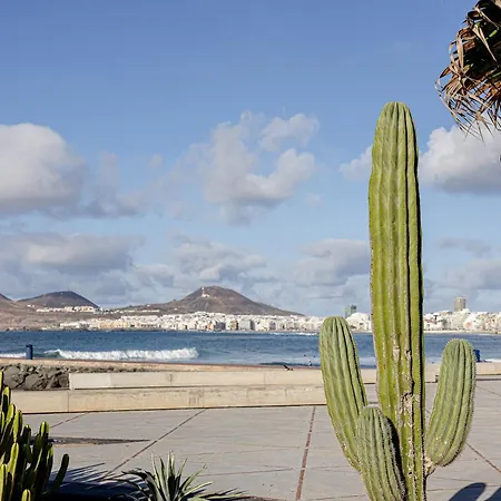 Bambu Vegueta Alquiler Por Appartement