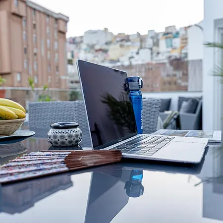 Bambu Vegueta Alquiler Por