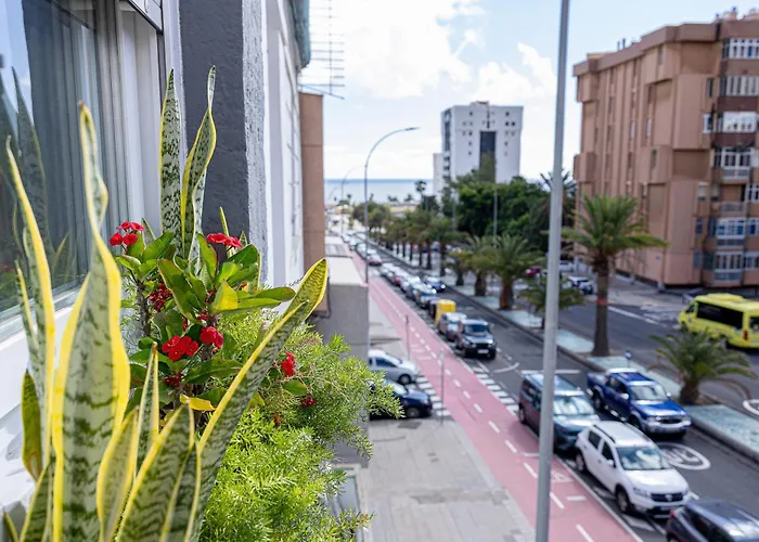 Apartamento Bambú Vegueta Alquiler Por Habitación