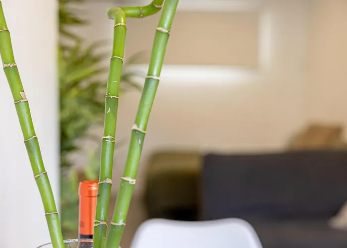 Bambú Vegueta Alquiler Por Habitación Apartamento